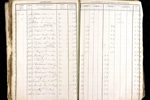 Ménétrol - P 10345      Section D (1813)