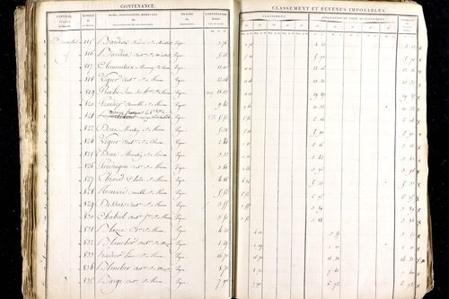 Ménétrol - P 10345      Section D (1813)