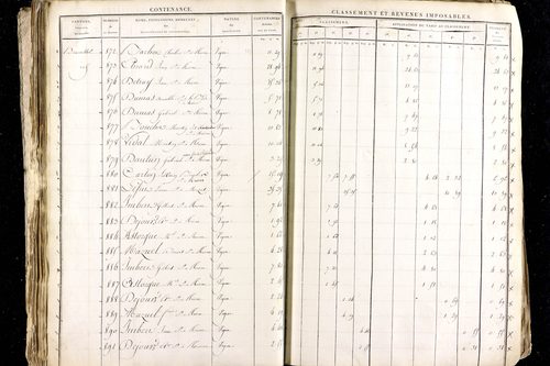 Ménétrol - P 10345      Section D (1813)