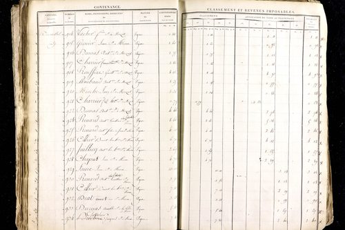 Ménétrol - P 10345      Section D (1813)