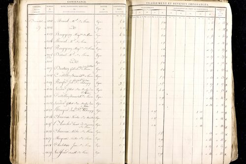Ménétrol - P 10345      Section D (1813)