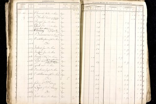 Ménétrol - P 10345      Section D (1813)