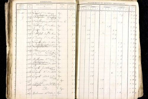 Ménétrol - P 10345      Section D (1813)