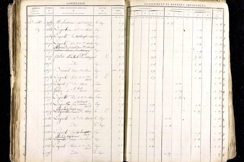 Ménétrol - P 10345      Section D (1813)