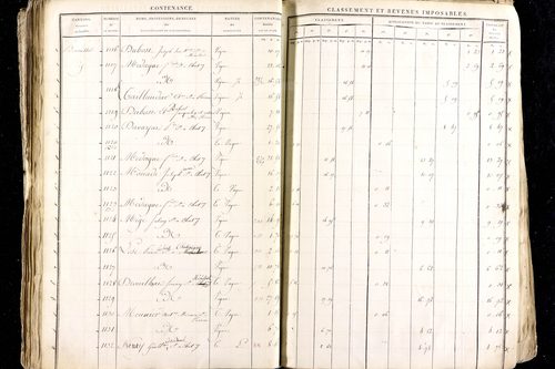 Ménétrol - P 10345      Section D (1813)