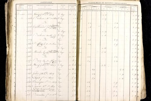 Ménétrol - P 10345      Section D (1813)
