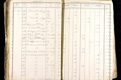 Ménétrol - P 10345      Section D (1813)