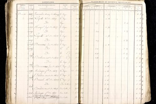 Ménétrol - P 10345      Section D (1813)