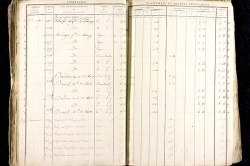Ménétrol - P 10345      Section D (1813)