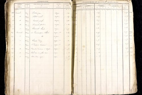 Ménétrol - P 10345      Section D (1813)