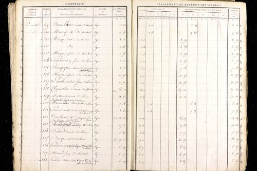 Ménétrol - P 10345      Section D (1813)