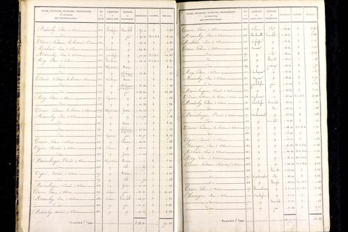 Messeix - P 9516/1      Section A