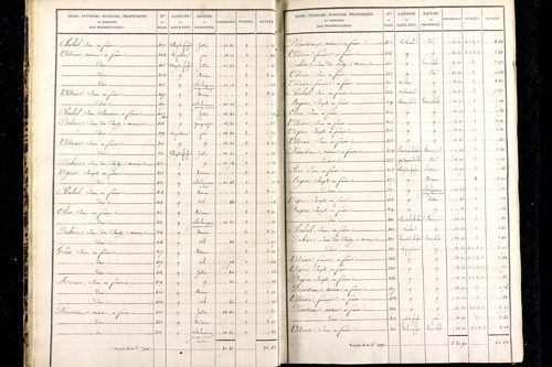 Messeix - P 9516/1      Section A