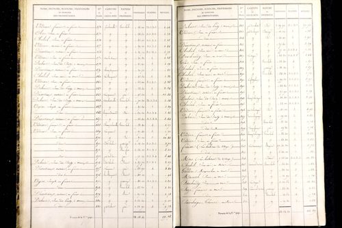 Messeix - P 9516/1      Section A