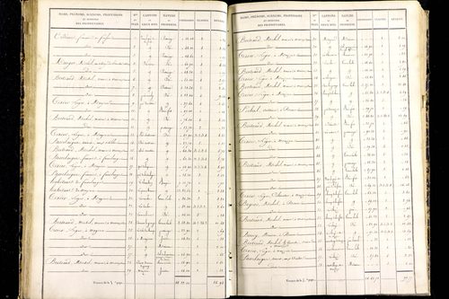 Messeix - P 9516/3      Section C
