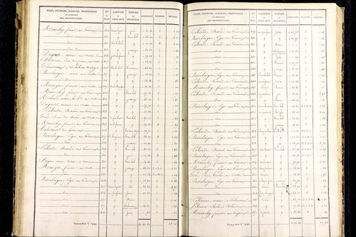 Messeix - P 9516/4      Section D