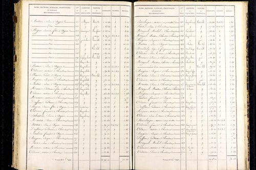 Messeix - P 9516/7      Section G