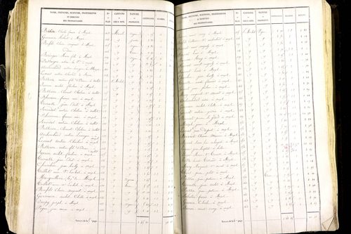 Mézel - P 9520/3      Section C