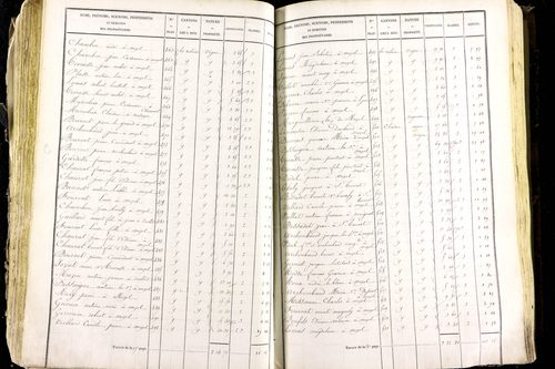 Mézel - P 9520/3      Section C