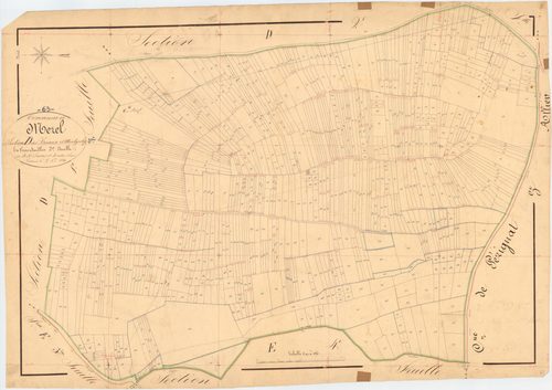 Mézel - 51 FI 701      Section D des Briaux et Montgrely, 3ème feuille