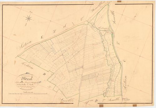 Mézel - 51 FI 699      Section D des Briaux et Montgrely, 1ère feuille