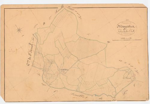 Le Monestier - 55 FI 658      Section D des Bois, 1ère feuille