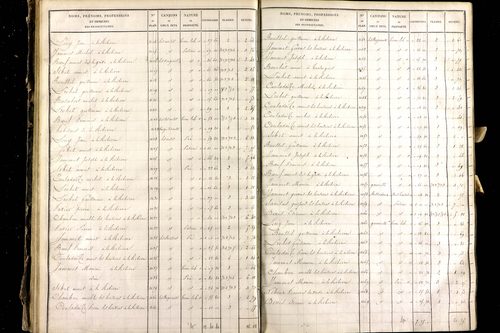 Montel-de-Gelat - P 10362/2      Section B