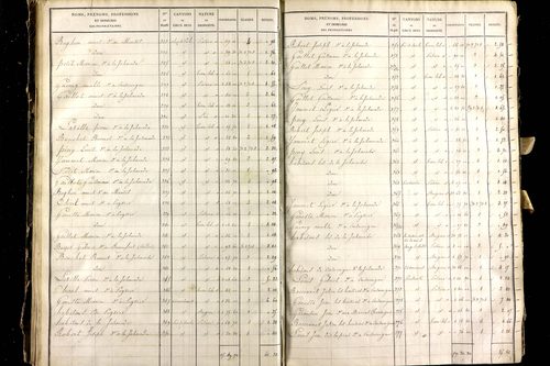 Montel-de-Gelat - P 10362/3      Section C