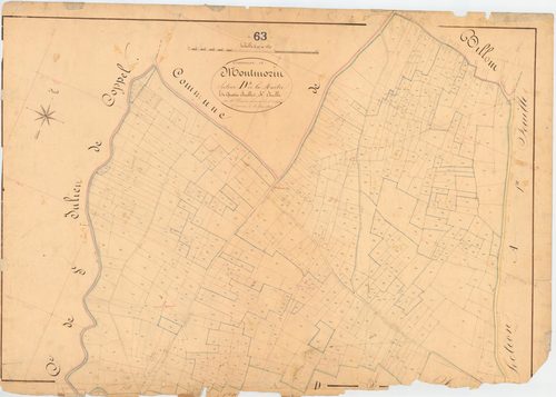 Montmorin - 51 FI 773      Section D de la Martre, 4ème feuille