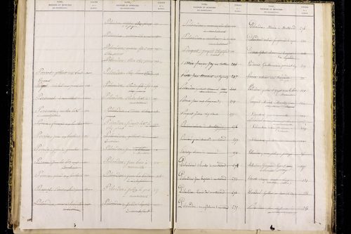 Moureuille - P 10373      Folios 479 à 740