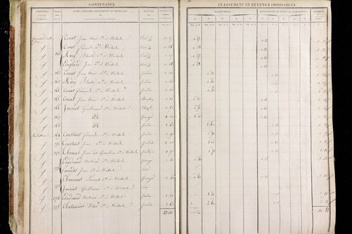 Neschers - P 11281/1      Section C