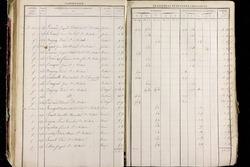 Neschers - P 11281/1      Section C