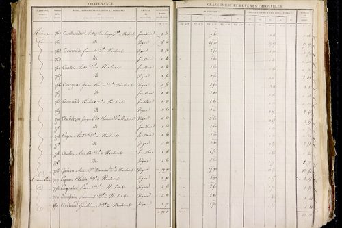 Neschers - P 11281/2      Section D