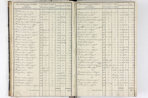 Orcival -      P 9783/1-Section A