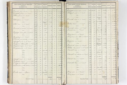 Orcival -      P 9783/3-Section C