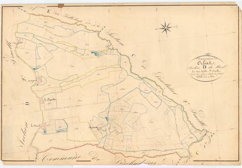 Orléat - 55 FI 712      Section D du Miral, 1ère feuille
