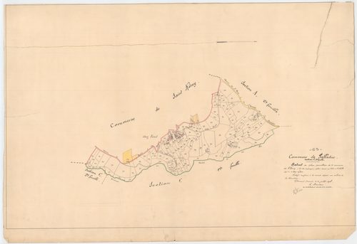 Palladuc - 55 FI 729      Section C de Larmentier, 3ème feuille