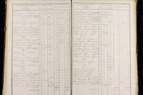 Peslières - P 11288/2      Section B
