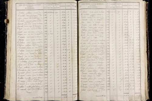Pont-du-Château - P 9677/3      Section C