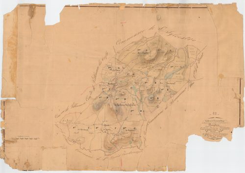 Randan - 53 FI 824      - (9)Tableau d'assemblage du plan cadastral parcellaire de la commune de Randan