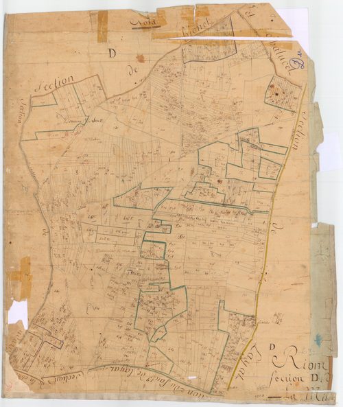 Riom - 53 FI 844      Section D de Millot