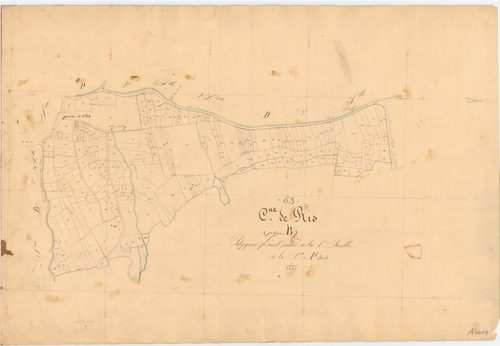 Ris - 55 FI 786      Section A de Calleville, 1ère feuille, développement B