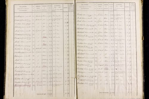 Roche-Charles-la-Mayrand - P 11293/2      Section B