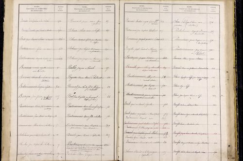 Saillant - P 12836      Folios 961 à 1460