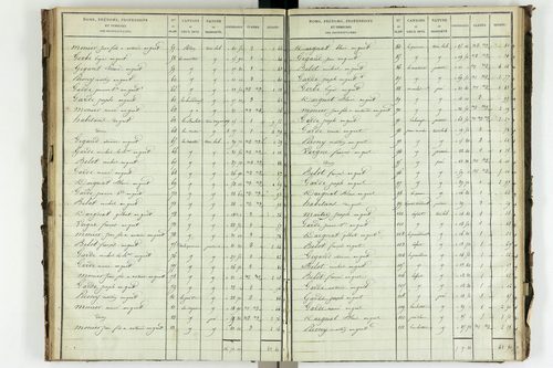Saint-Avit - P 10449/5      Section E