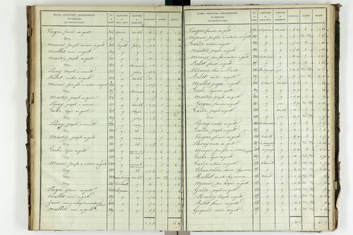 Saint-Avit - P 10449/5      Section E
