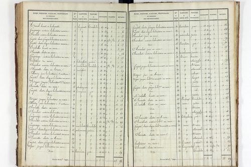 Saint-Clément-de-Valorgue - P 12524/3      Section C