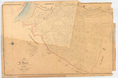 Saint-Maurice - 51 FI 1219      Section E du Bournet et des Varennes, 2ème feuille