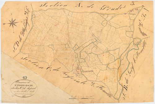 Saint-Pierre-Roche - 51 FI 1230      Section C de Reyviale, 1ère feuille