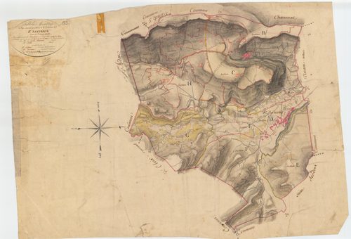 Saint-Saturnin - 51 FI 1246      Tableau d'assemblage du plan cadastral parcellaire de la commune de Saint-Saturnin